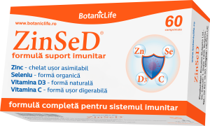 ZinSeD